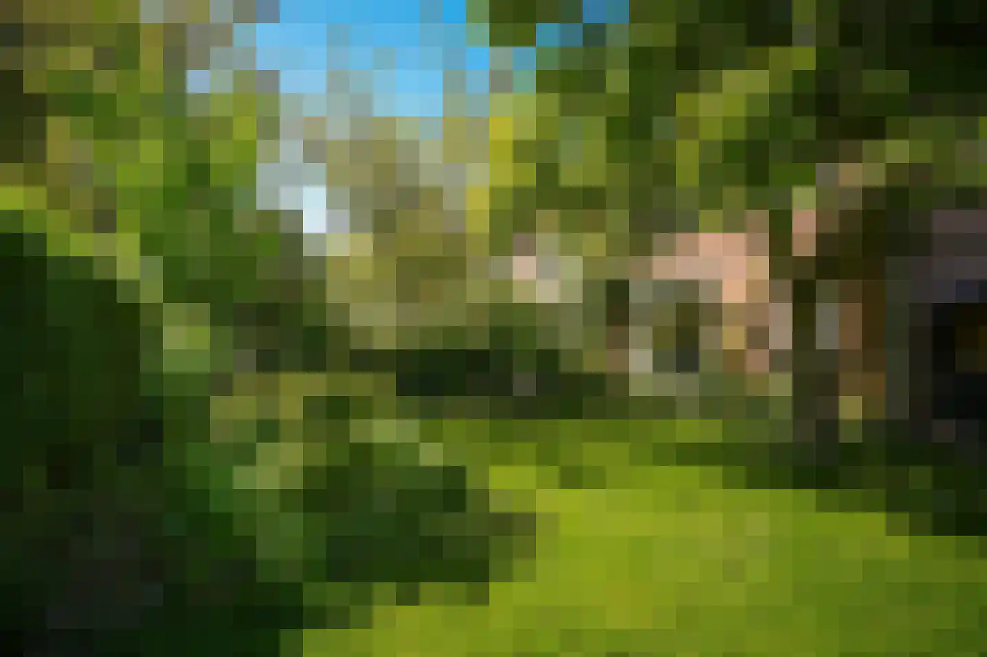 Weidsteeg 24 Culemborg thumbnail 43