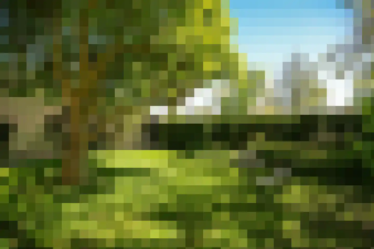 Weidsteeg 24 Culemborg thumbnail 45