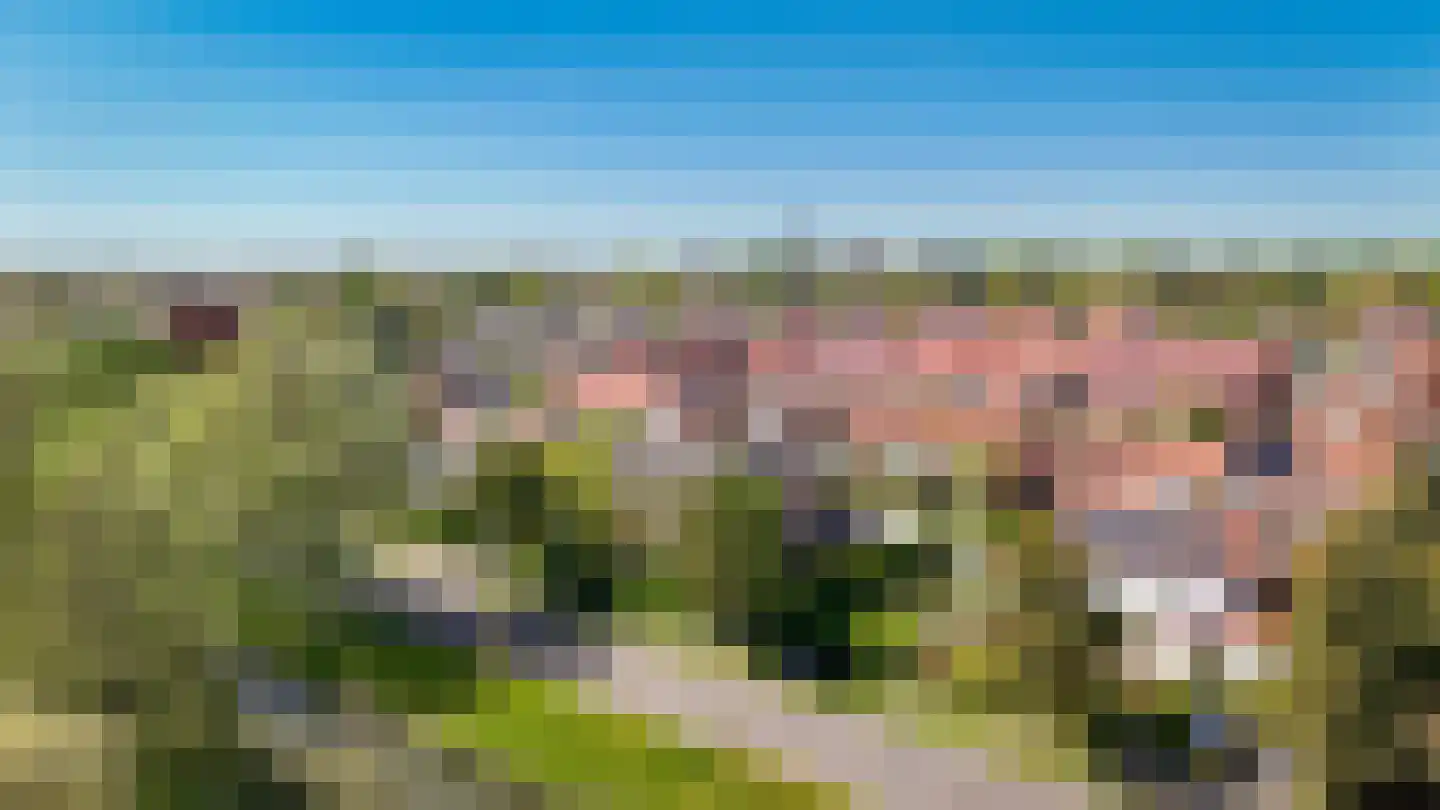 Weidsteeg 24 Culemborg thumbnail 52