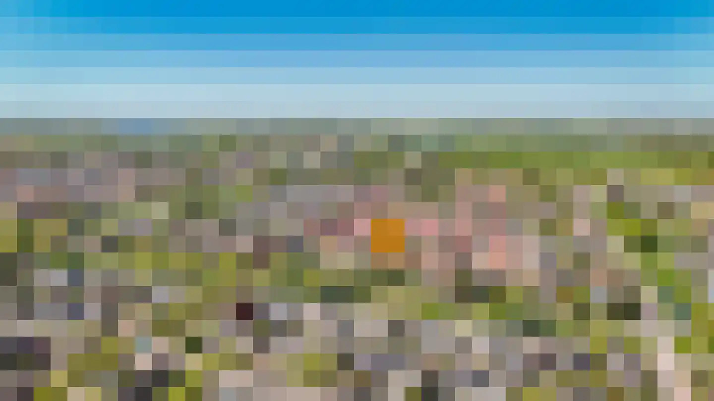 Weidsteeg 24 Culemborg thumbnail 55