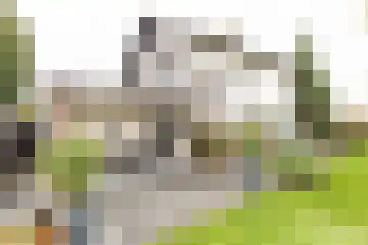 Weidsteeg 28 Culemborg thumbnail 27