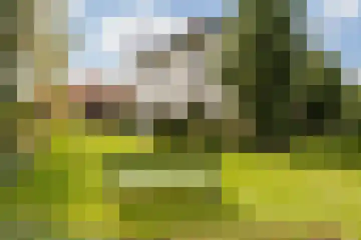 Weidsteeg 28 Culemborg thumbnail 31