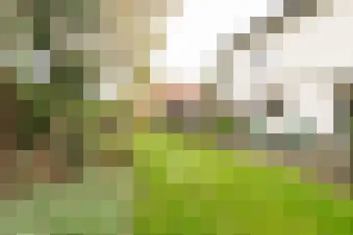 Weidsteeg 28 Culemborg thumbnail 33