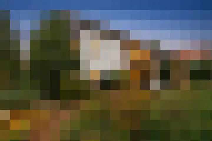 Weidsteeg 28 Culemborg thumbnail 37