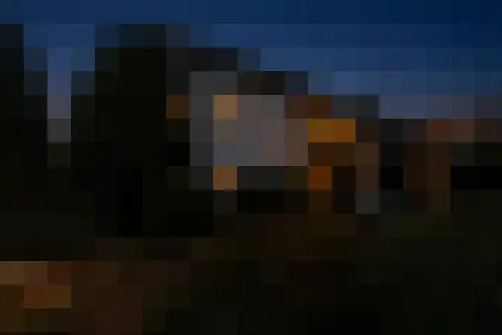 Weidsteeg 28 Culemborg thumbnail 38