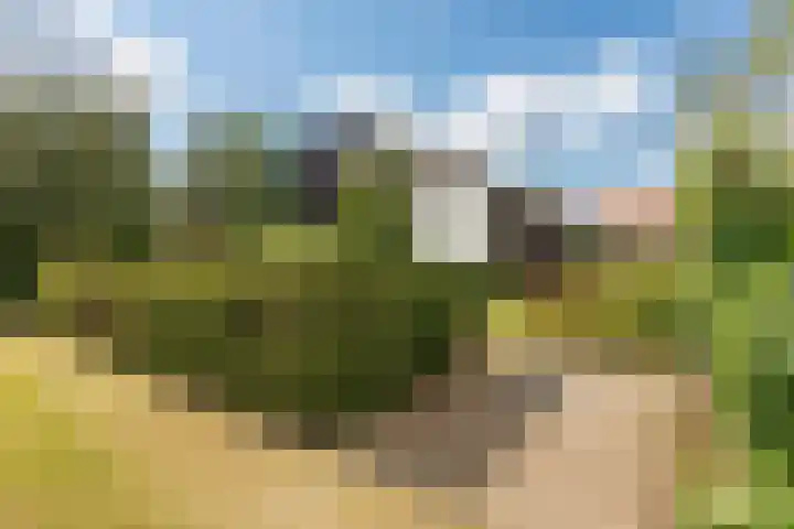 Weidsteeg 28 Culemborg thumbnail 5