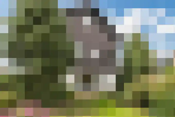 Weidsteeg 28 Culemborg thumbnail 59