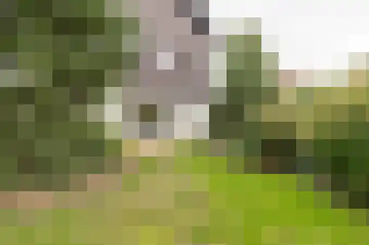 Weidsteeg 28 Culemborg thumbnail 60