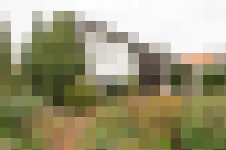 Weidsteeg 28 Culemborg thumbnail 61