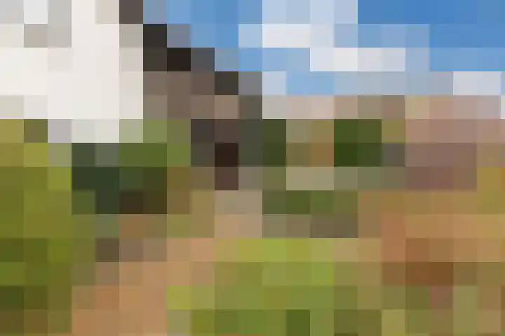 Weidsteeg 28 Culemborg thumbnail 62