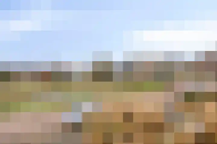 Weidsteeg 35 Culemborg thumbnail 28