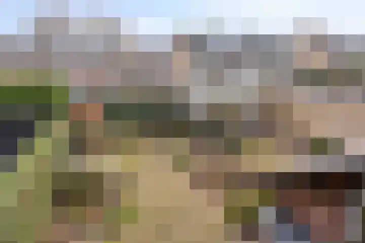 Weidsteeg 35 Culemborg thumbnail 36