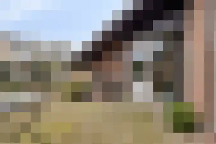Weidsteeg 35 Culemborg thumbnail 38