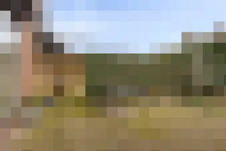 Weidsteeg 35 Culemborg thumbnail 39