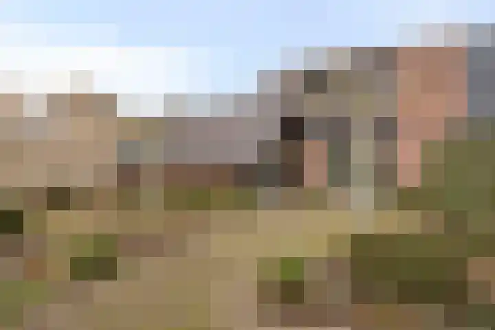Weidsteeg 35 Culemborg thumbnail 4