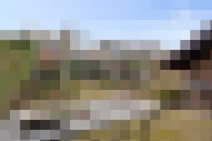 Weidsteeg 35 Culemborg thumbnail 40
