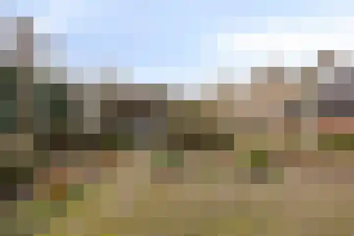 Weidsteeg 35 Culemborg thumbnail 5
