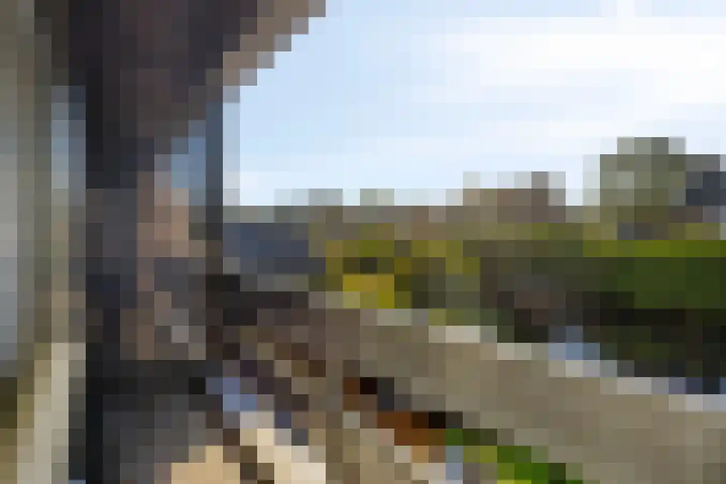 Weidsteeg 37 Culemborg thumbnail 30