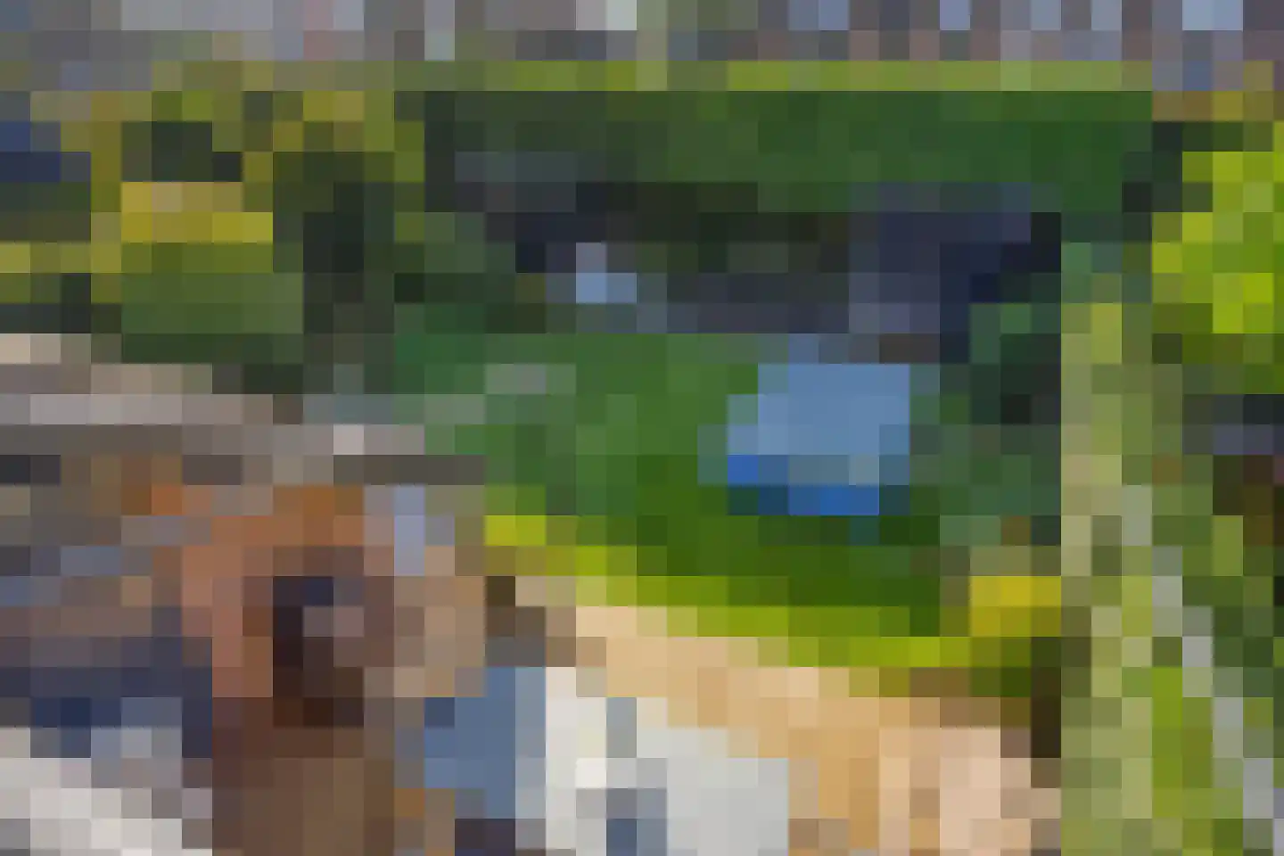 Weidsteeg 37 Culemborg thumbnail 36