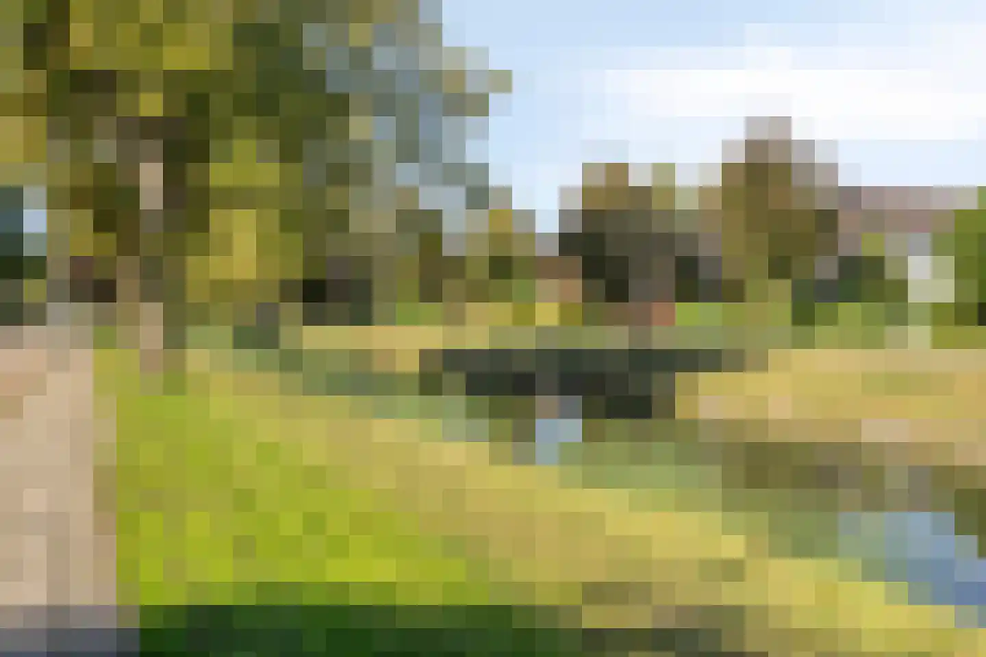 Weidsteeg 37 Culemborg thumbnail 39