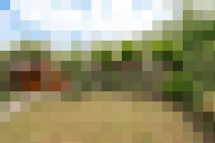 Weidsteeg 55 Culemborg thumbnail 17