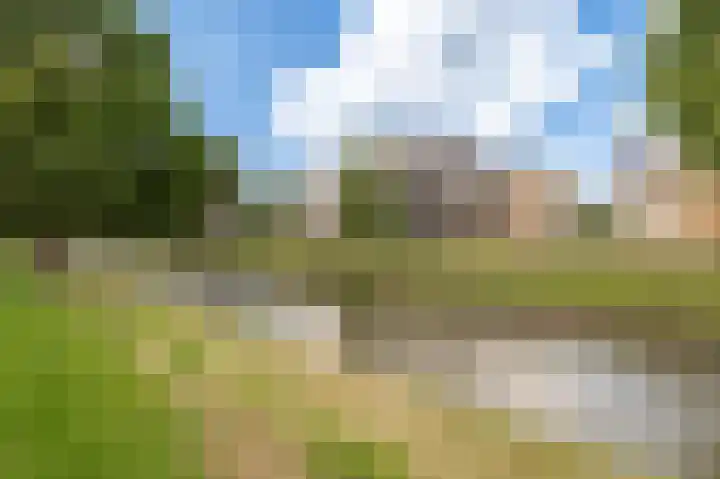Weidsteeg 55 Culemborg thumbnail 38