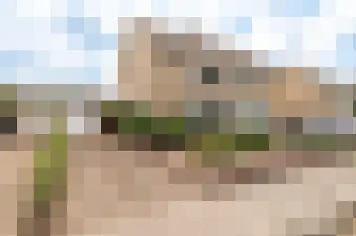 Weidsteeg 55 Culemborg thumbnail 5