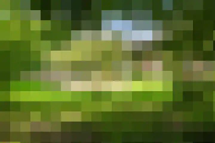 Weidsteeg 56 Culemborg thumbnail 4