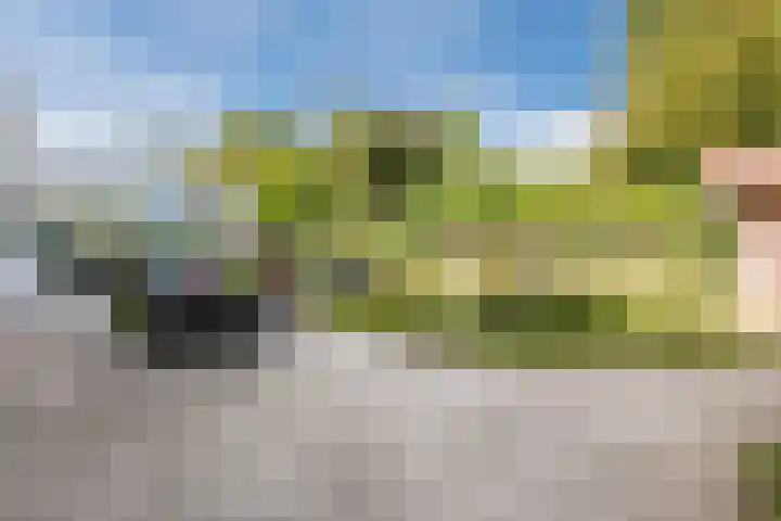 Weidsteeg 56 Culemborg thumbnail 52