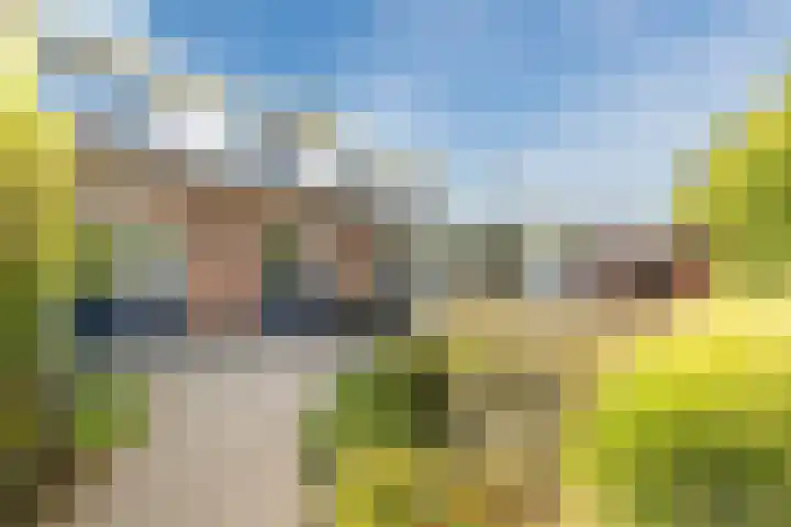 Weidsteeg 56 Culemborg thumbnail 53