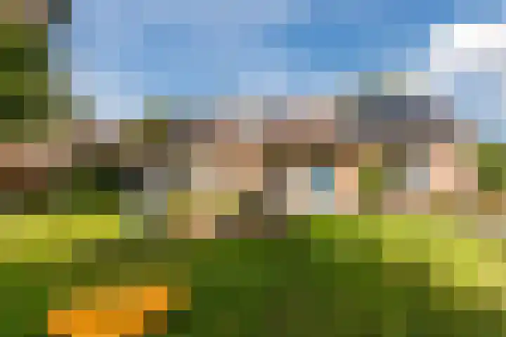 Weidsteeg 56 Culemborg thumbnail 7