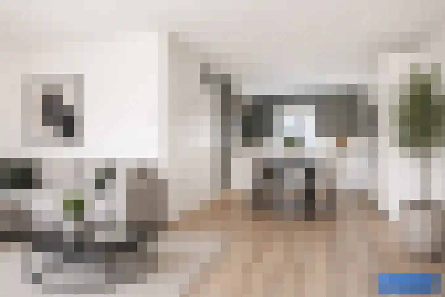Weiersstraat 57 Assen thumbnail 19