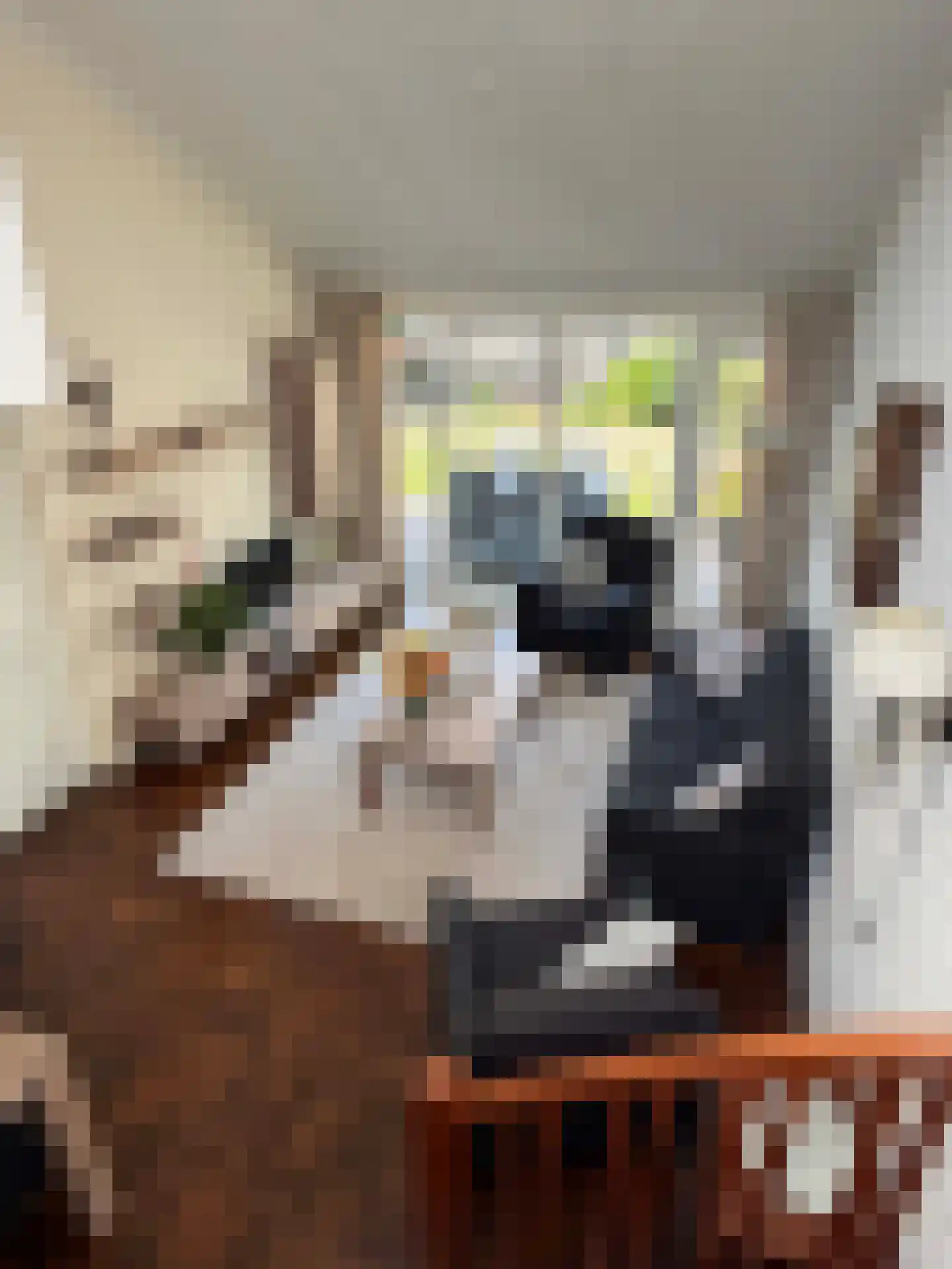 Weiert 11 Dalen thumbnail 24