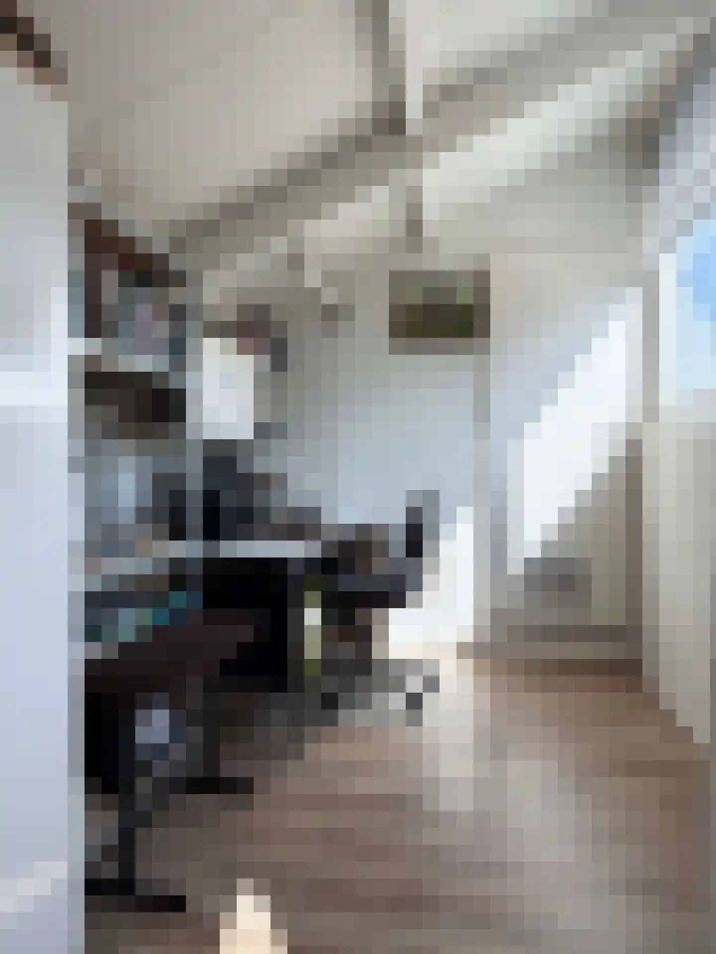 Weiert 11 Dalen thumbnail 25