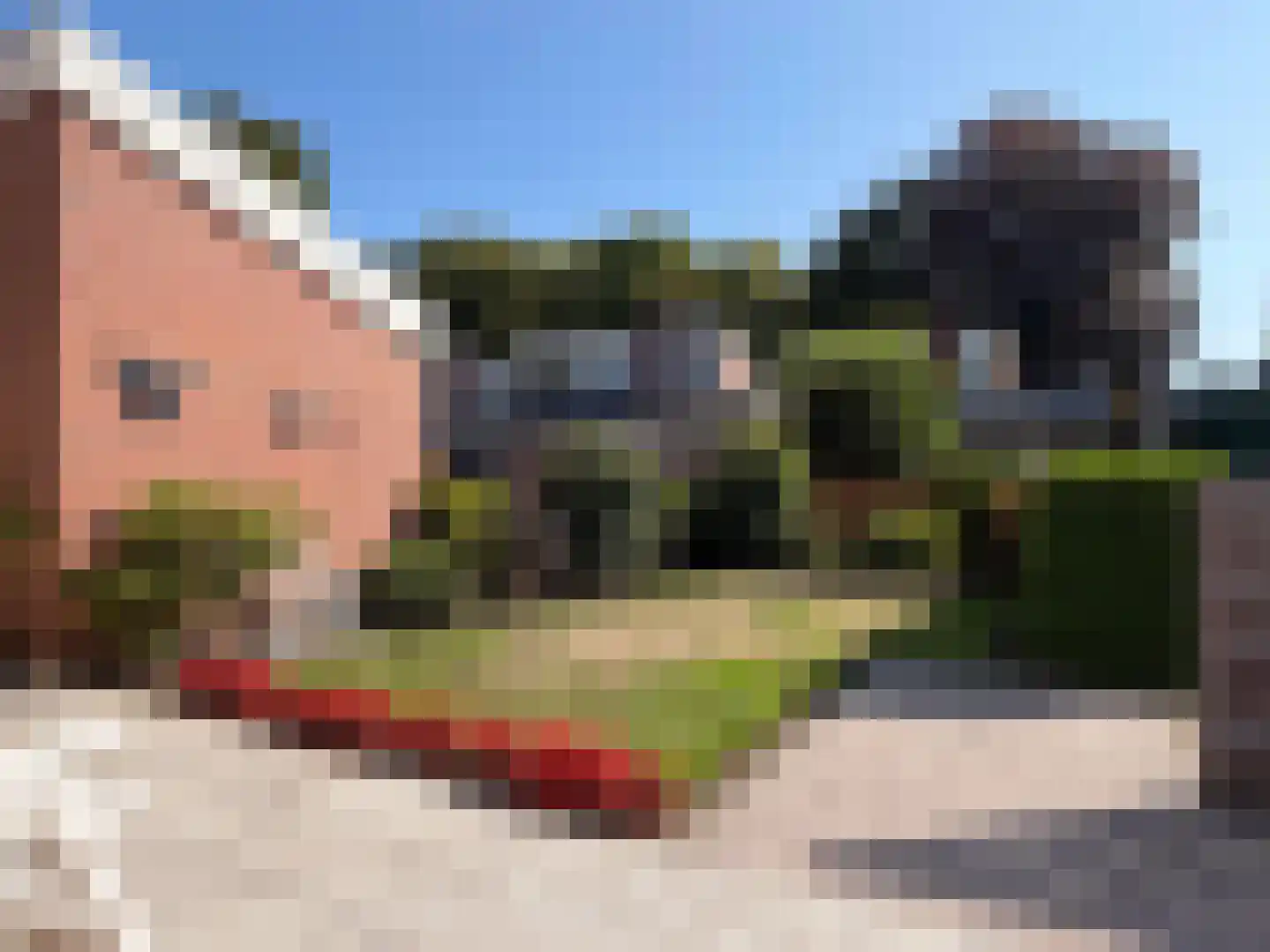 Weiert 11 Dalen thumbnail 8