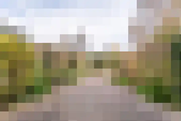Weigeliadal 1 Leiden thumbnail 26