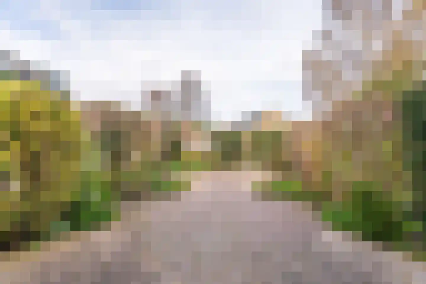 Weigeliadal 1 Leiden thumbnail 26