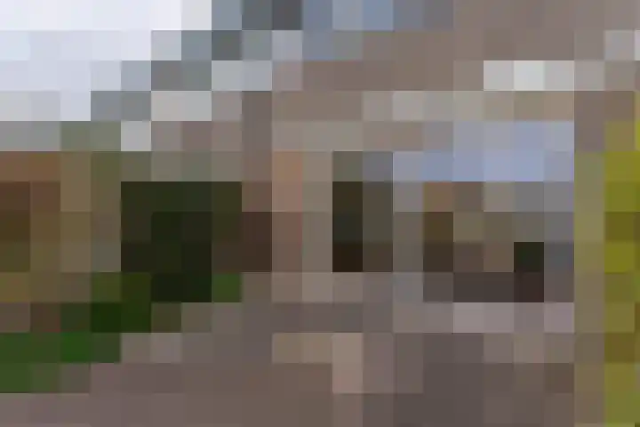 Weigeliadal 1 Leiden thumbnail 28