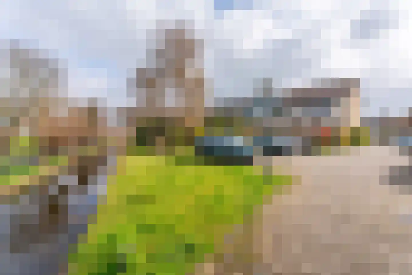 Weigeliadal 1 Leiden thumbnail 31