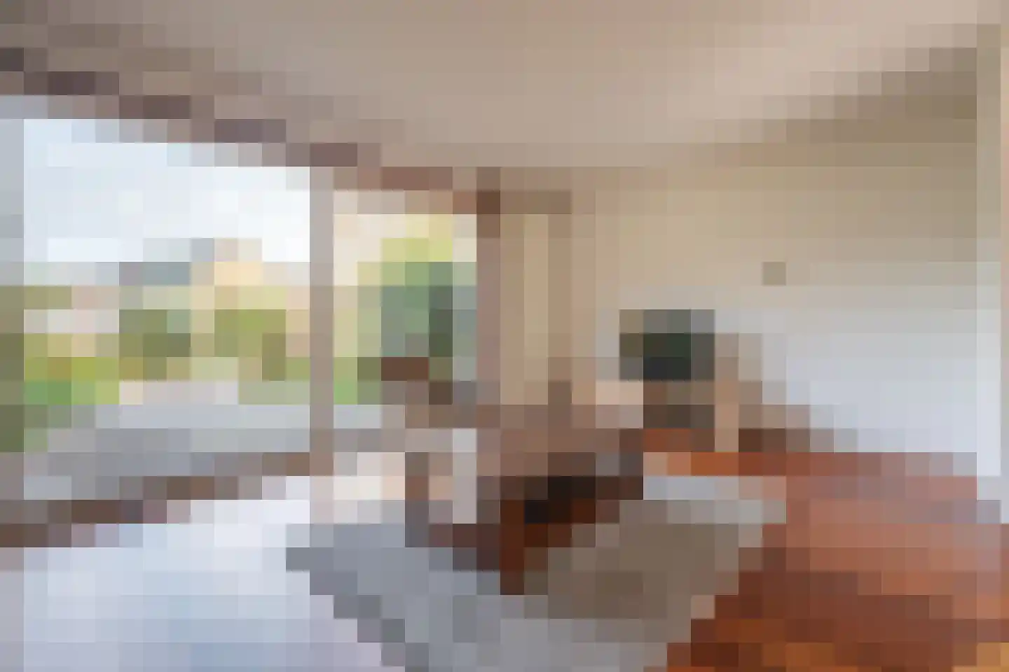 Weigeliadal 1 Leiden thumbnail 4