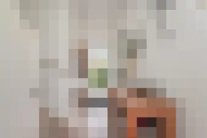 Weigeliahof 15 Nootdorp thumbnail 12