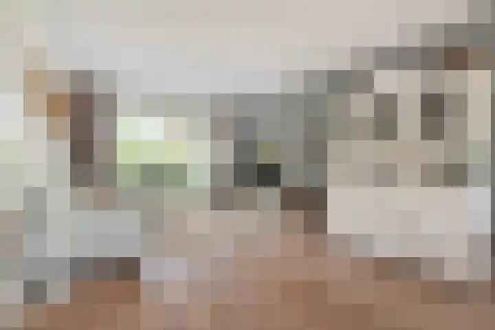 Weigeliahof 15 Nootdorp thumbnail 13