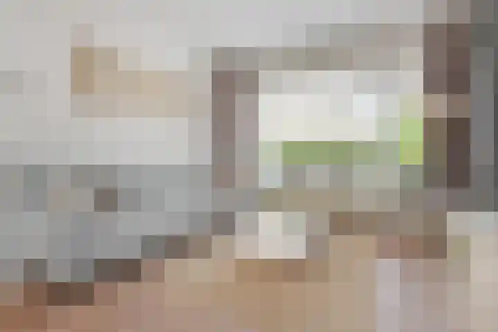 Weigeliahof 15 Nootdorp thumbnail 14