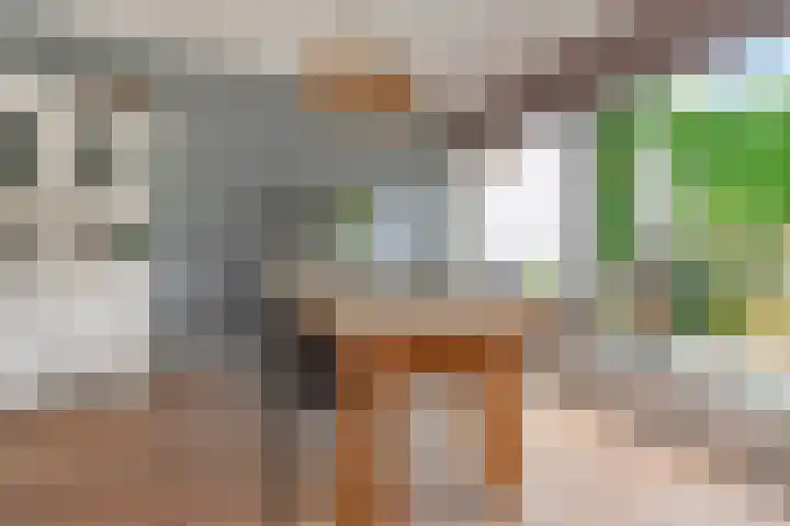 Weigeliahof 15 Nootdorp thumbnail 20