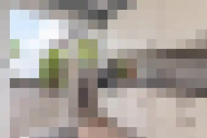 Weigeliahof 15 Nootdorp thumbnail 23