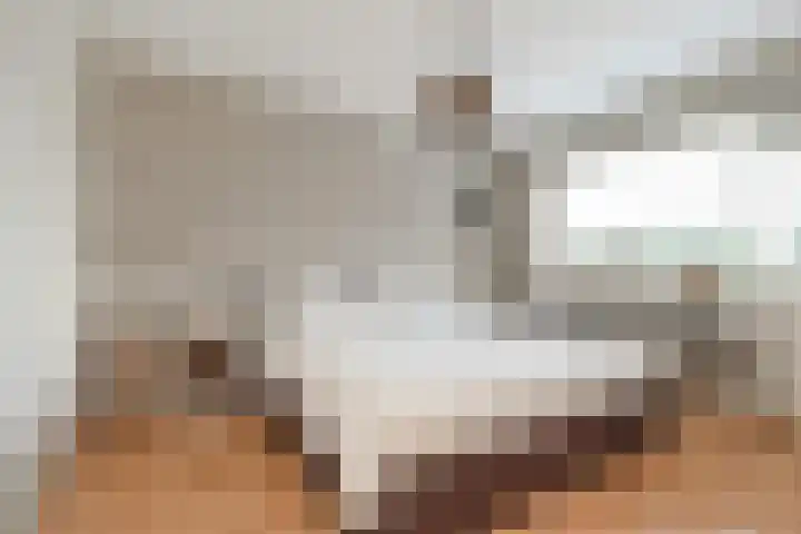 Weigeliahof 15 Nootdorp thumbnail 28