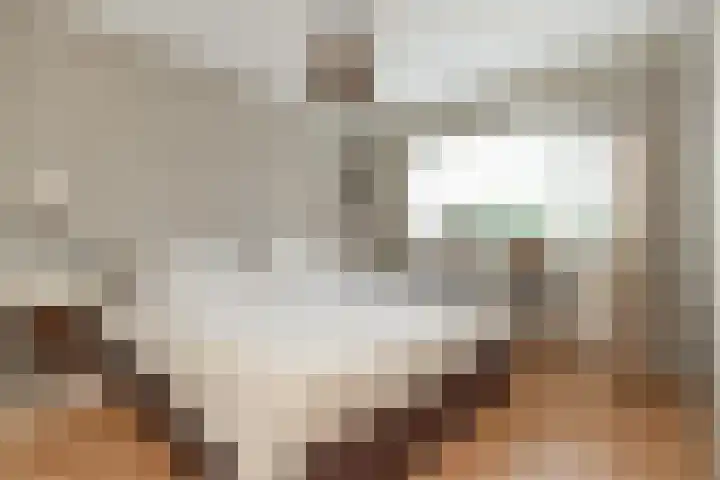 Weigeliahof 15 Nootdorp thumbnail 29