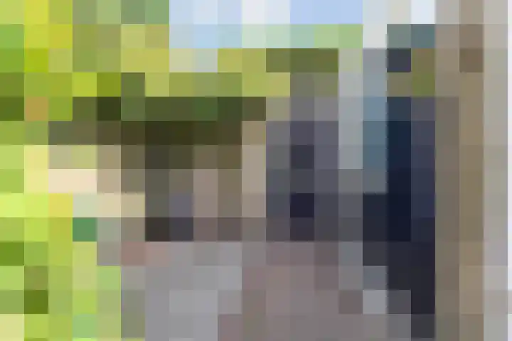 Weigeliahof 15 Nootdorp thumbnail 41