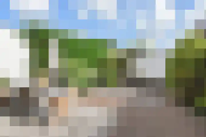 Weigeliahof 15 Nootdorp thumbnail 5