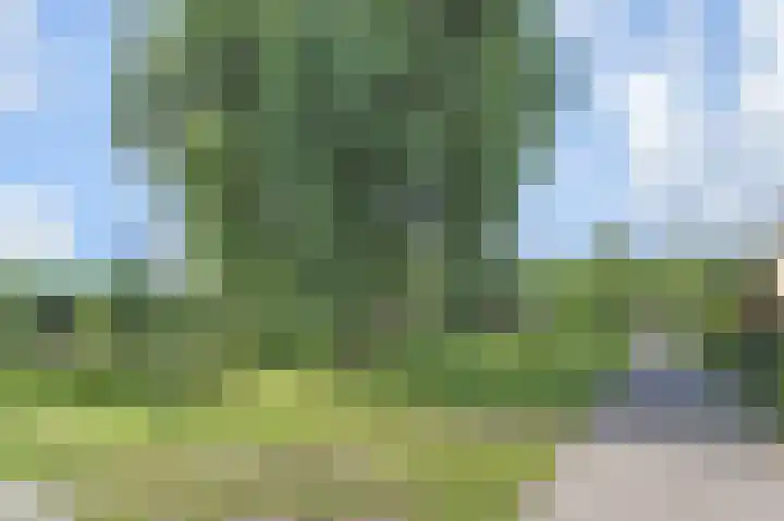 Weigeliahof 15 Nootdorp thumbnail 50